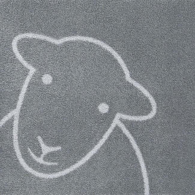 Eco-Friendly Washable Home and Animal Mat – 65X85 cm