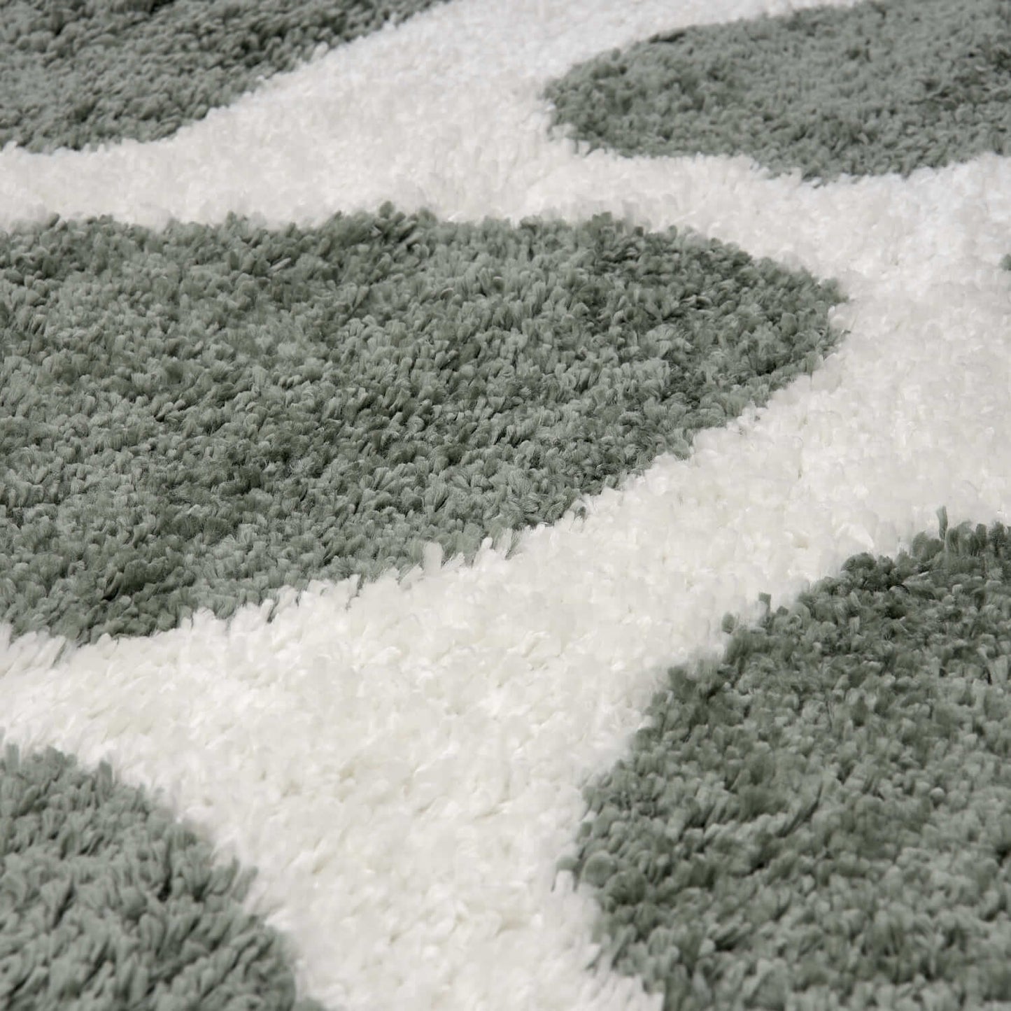 Moodi Shaggy Green Erosan Rug