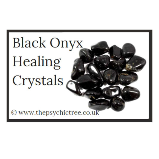 Black Oynx Guide Book