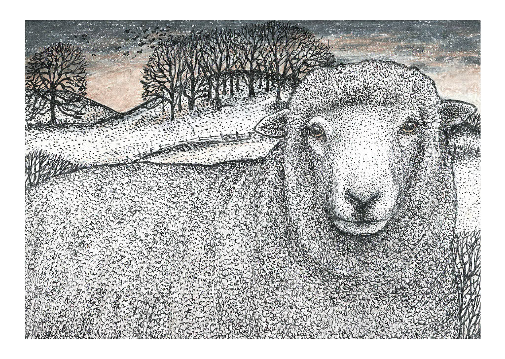 2017 Individual Postcards