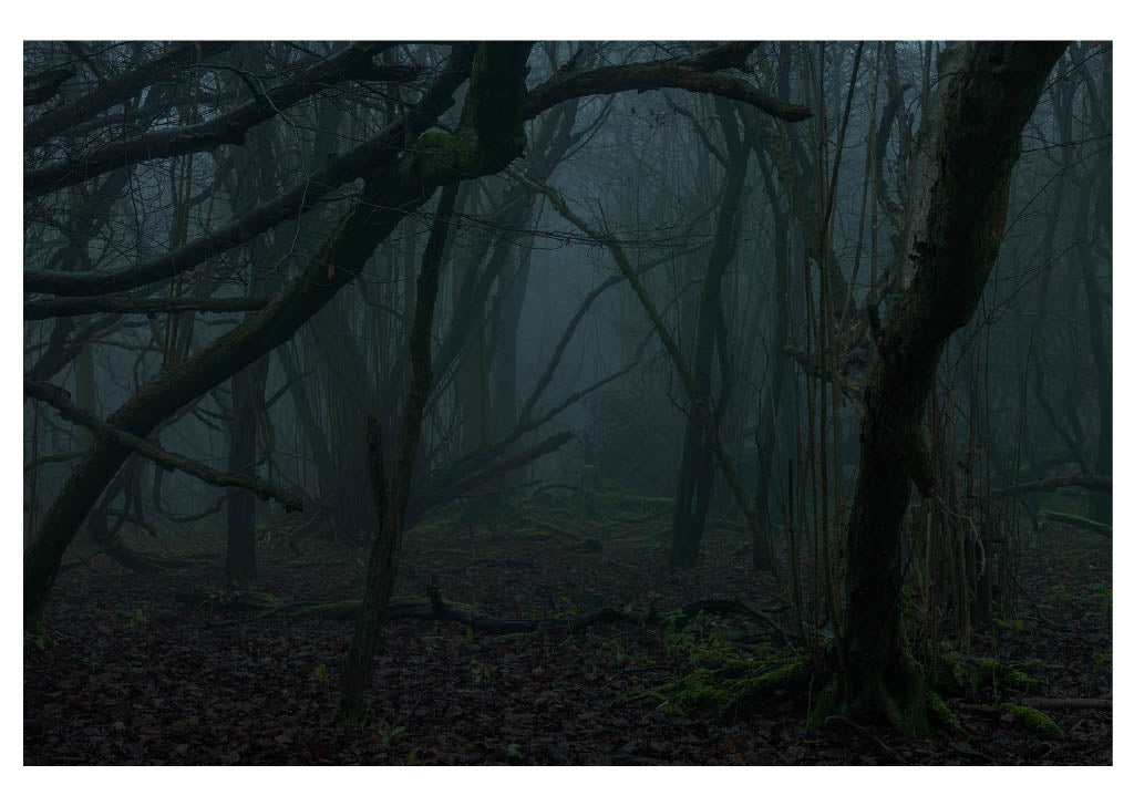 2019 Photography Individual Postcards