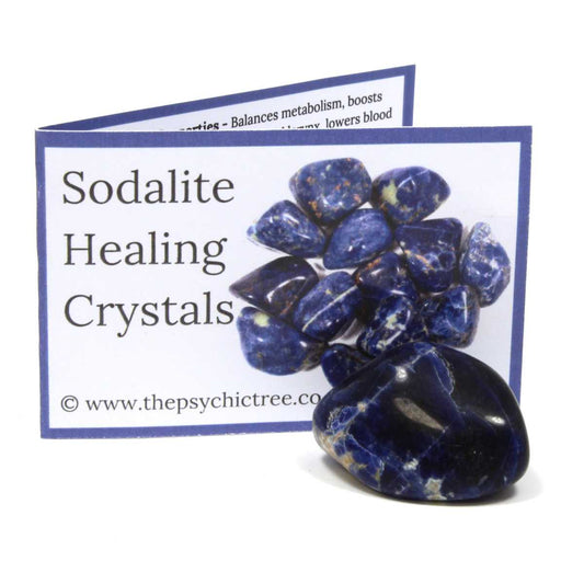 Sodalite Polished Crystal & Guide Pack