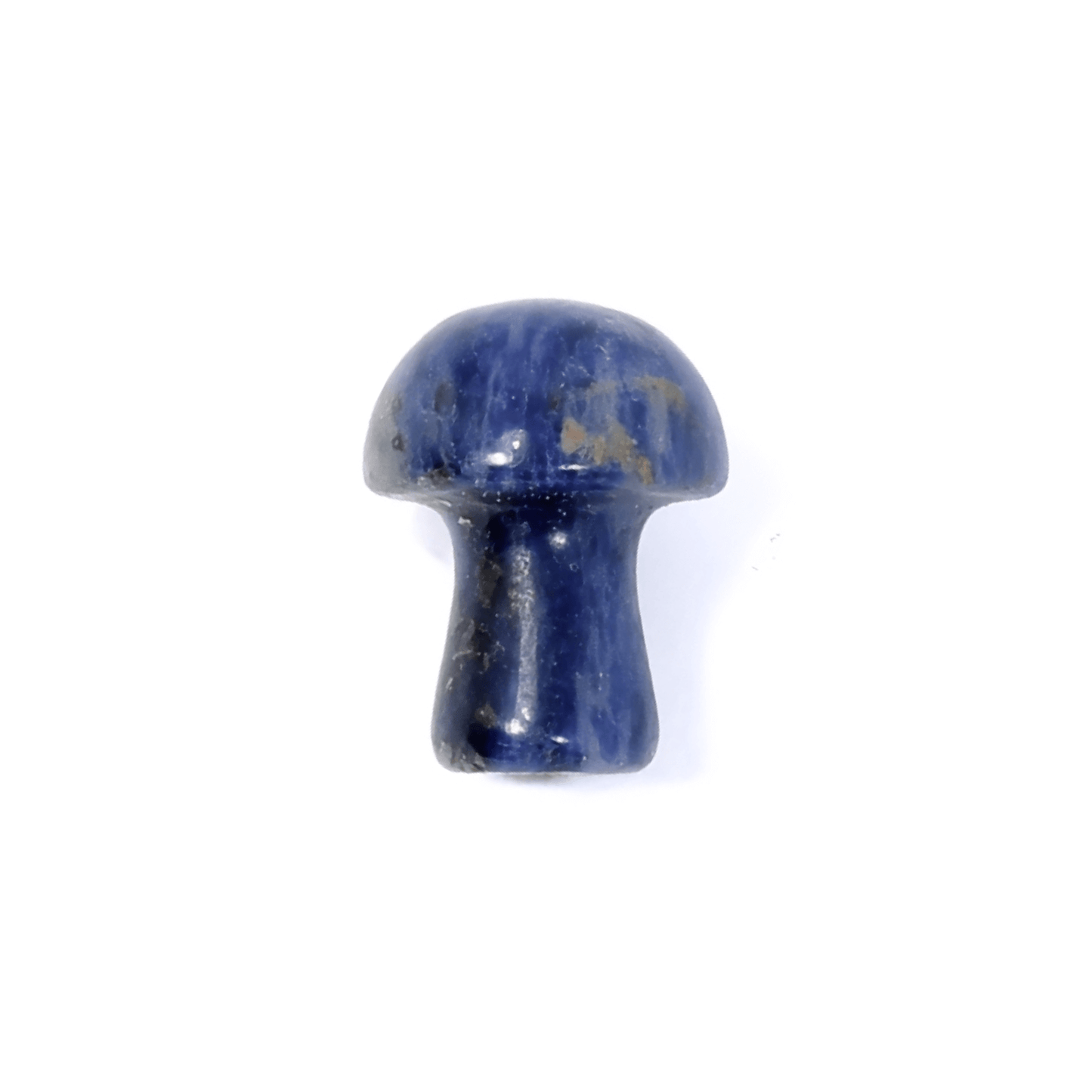 Healing Mini Mushroom Crystal - Sodalite