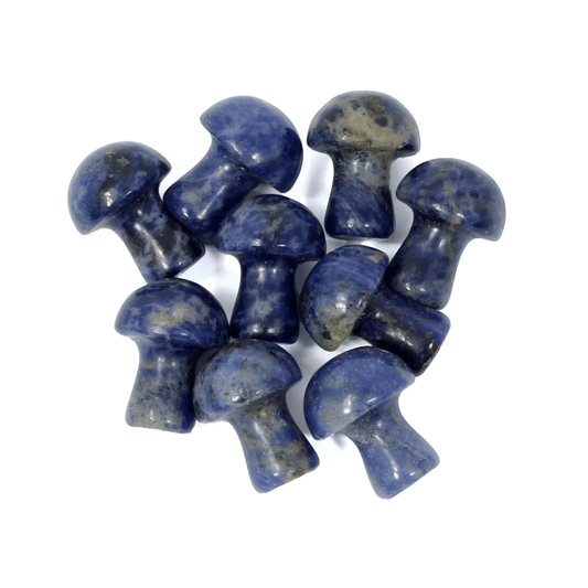 Healing Mini Mushroom Crystal - Sodalite