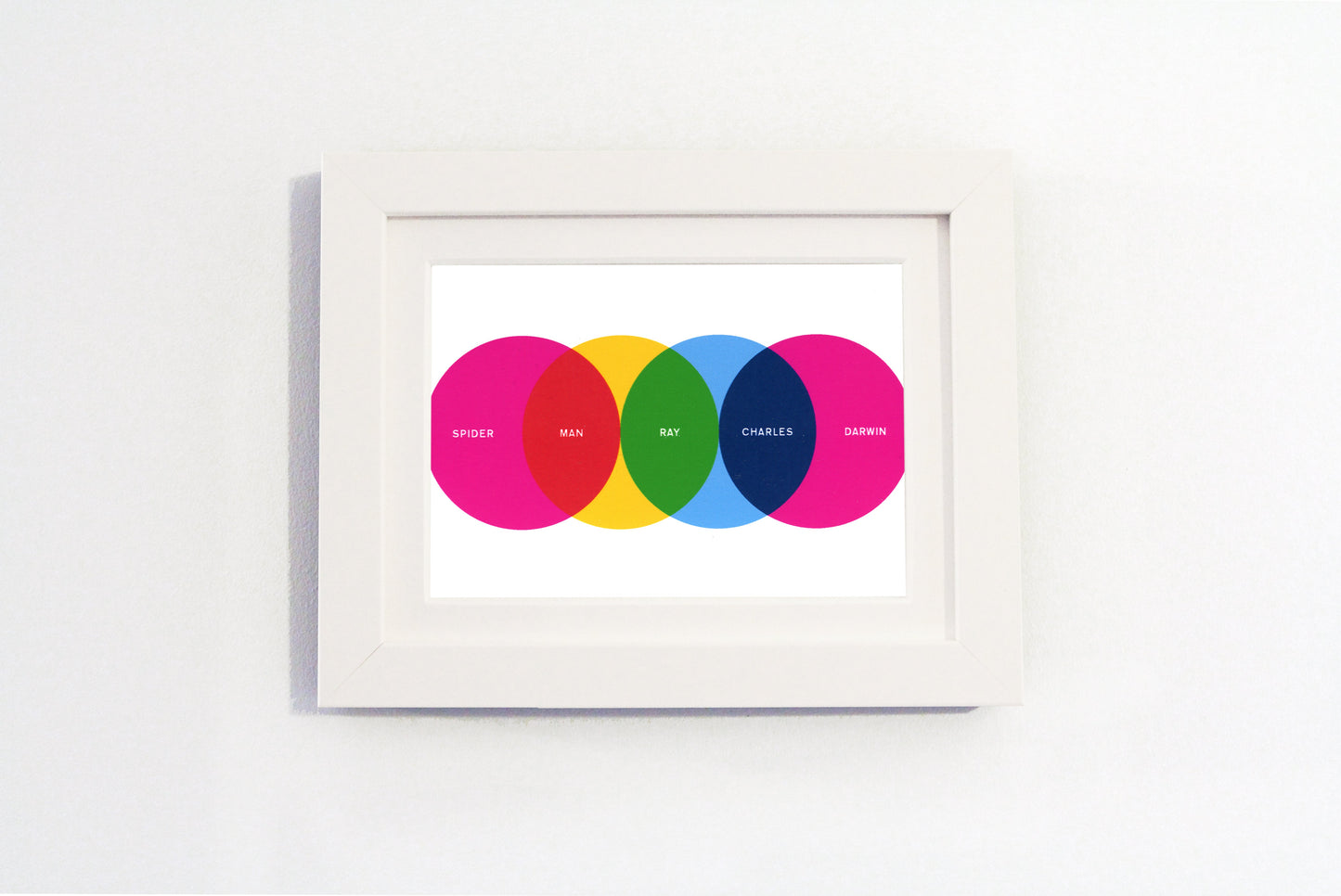 Alistair Gibbs - Venn 04