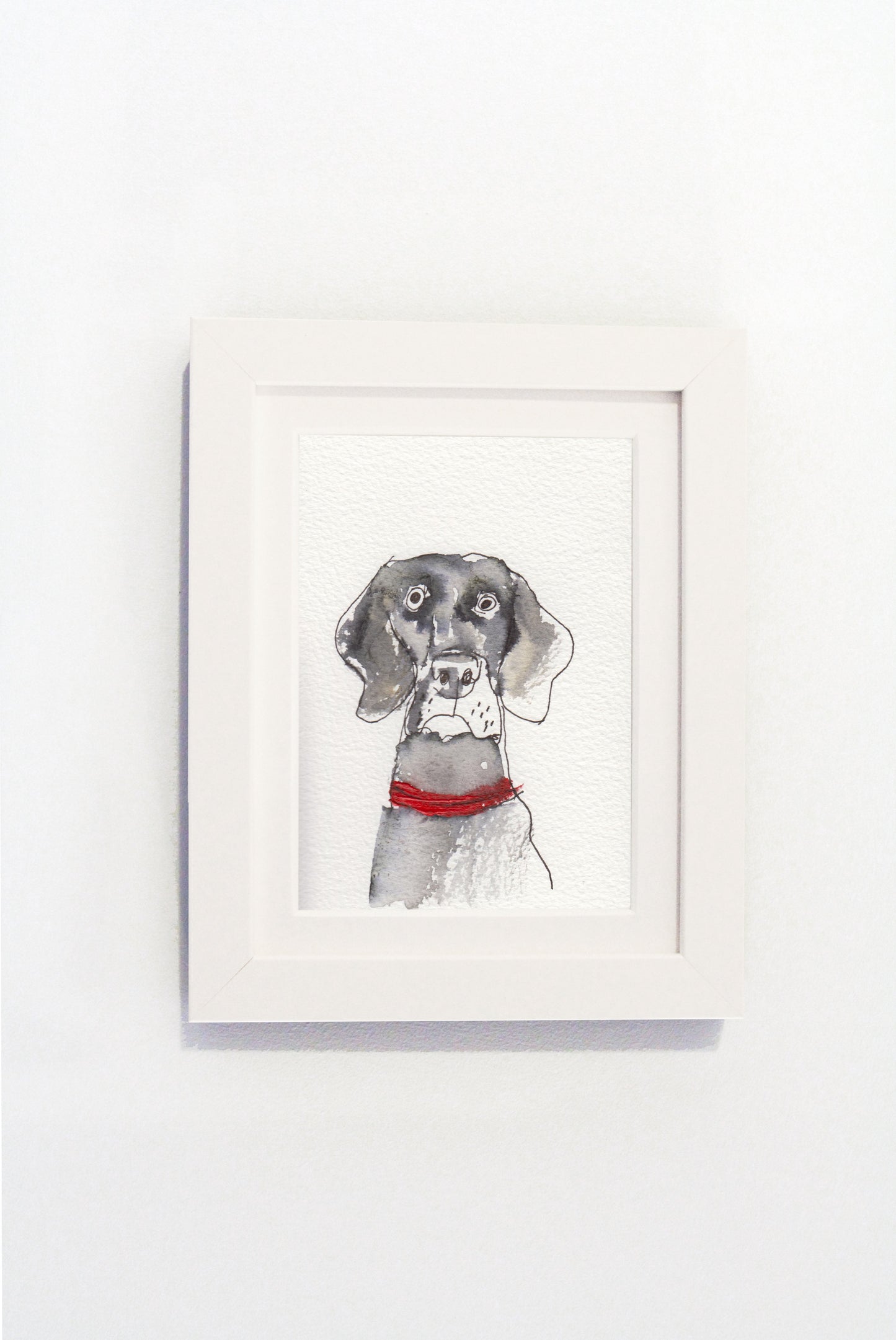 Robert James Clarke - Weimaraner Print