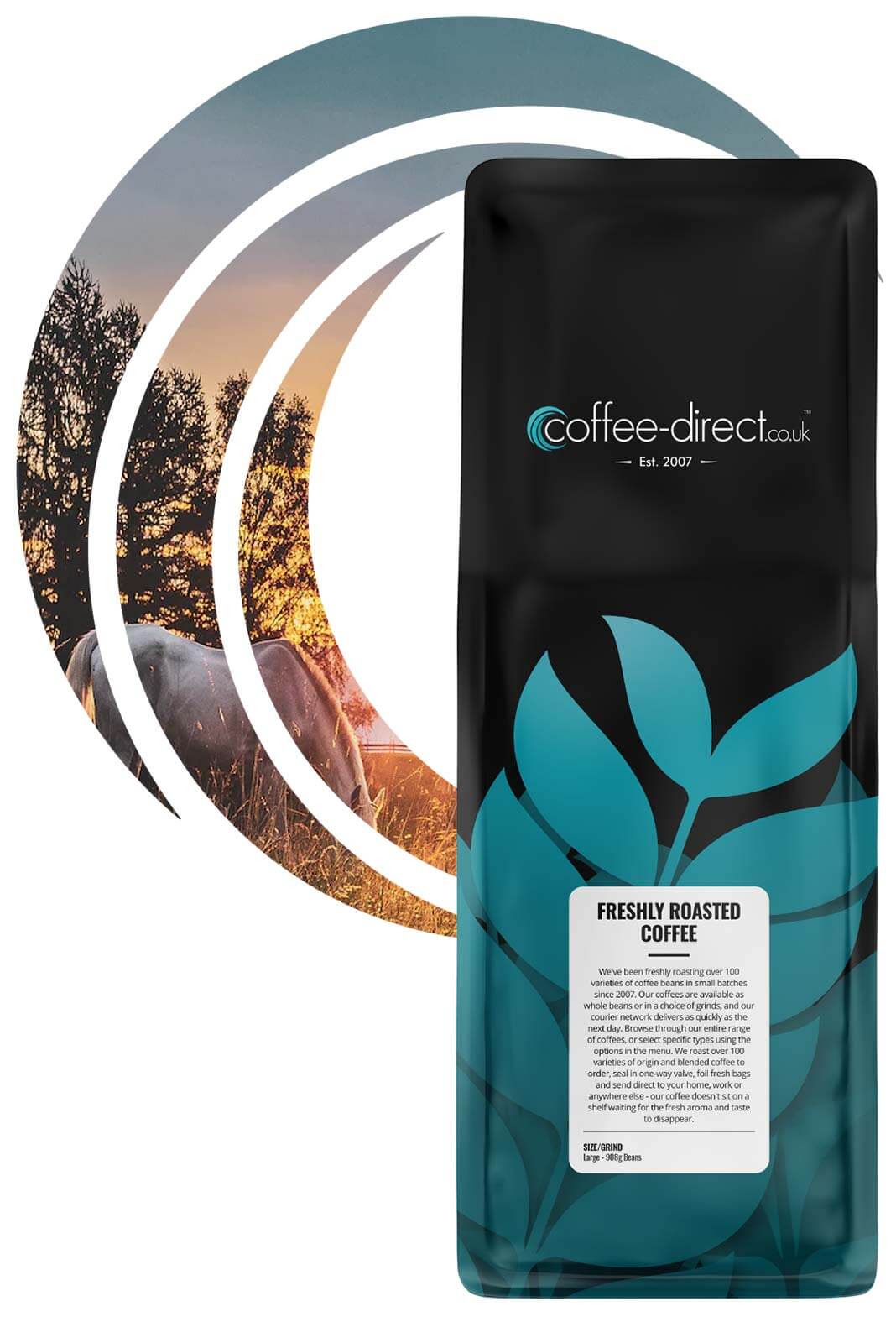 Buy Buckaroo Coffee Online - Fast Nationwide Delivery