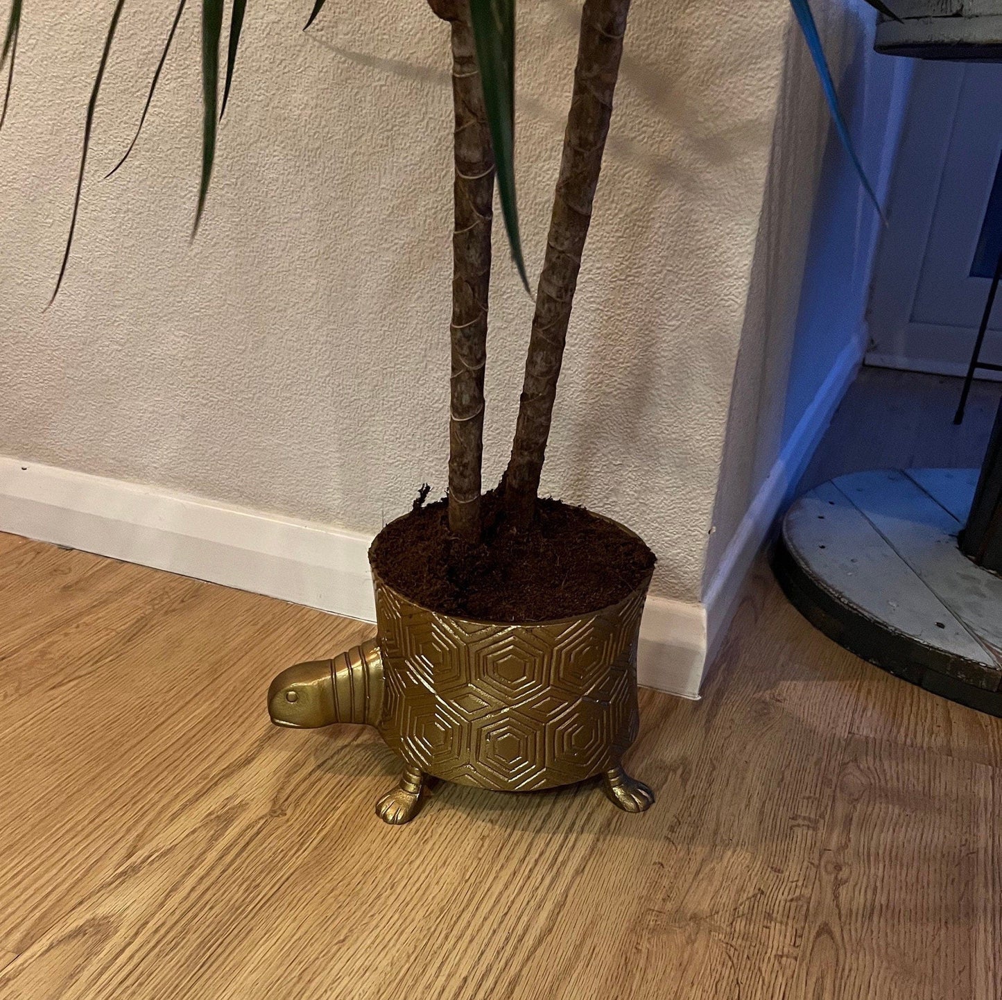 Maxlume - Turtoise Solid Cast Brass Metal Planter Pot for Succulents & Plants | Safari Planter | Animal Pot | Unique Planter |