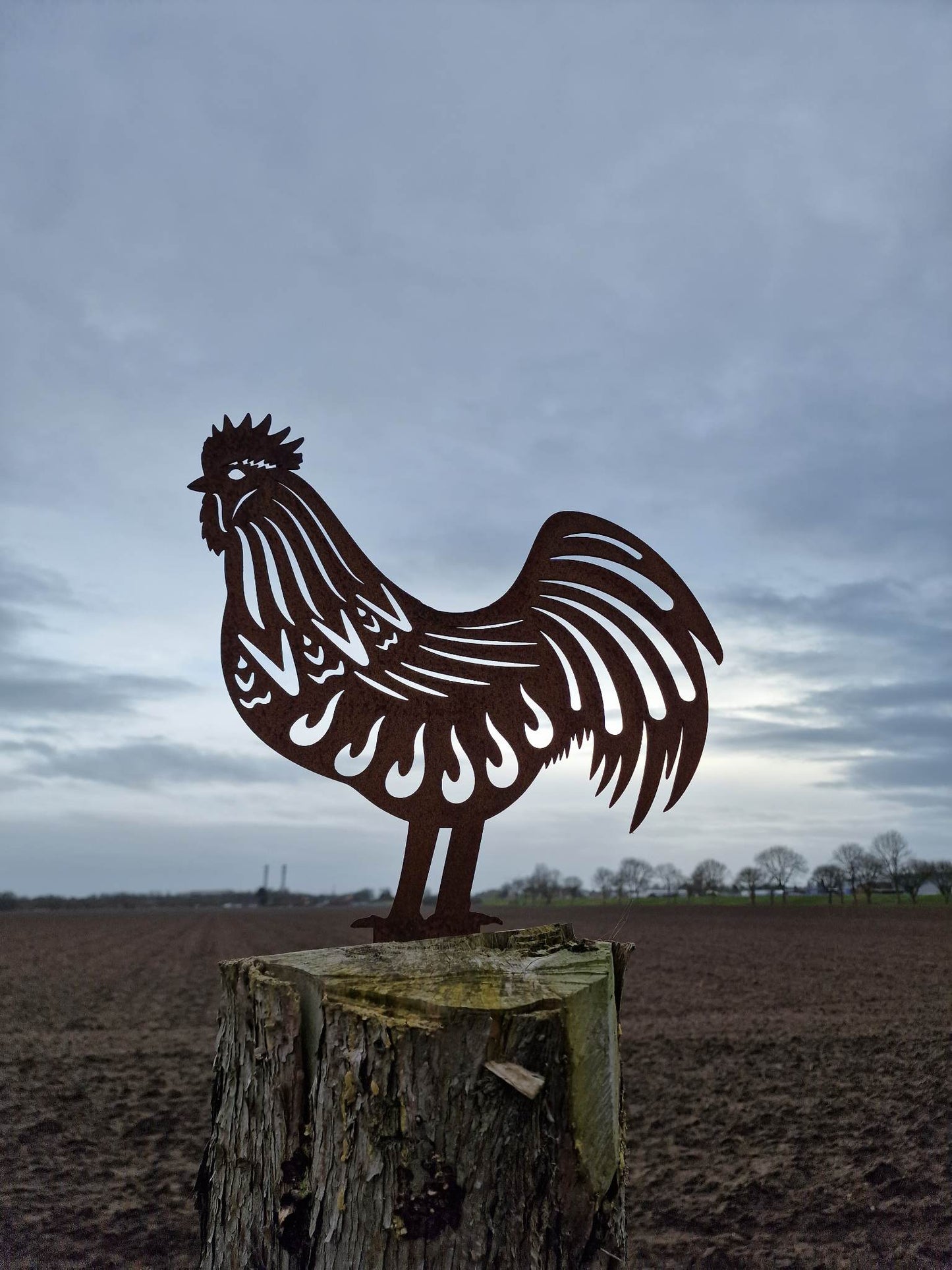 Rusty Metal Rooster Garden Decoration